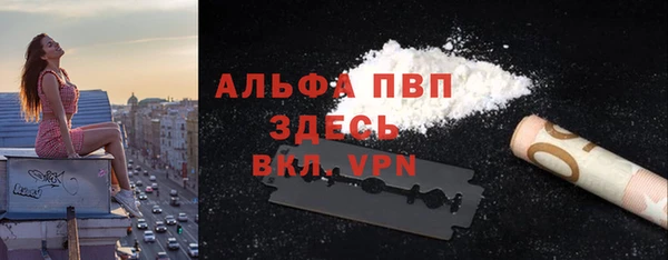 спиды Грязовец