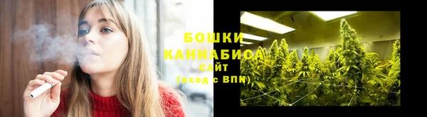 хмурый Корсаков