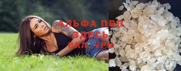 трава Новозыбков