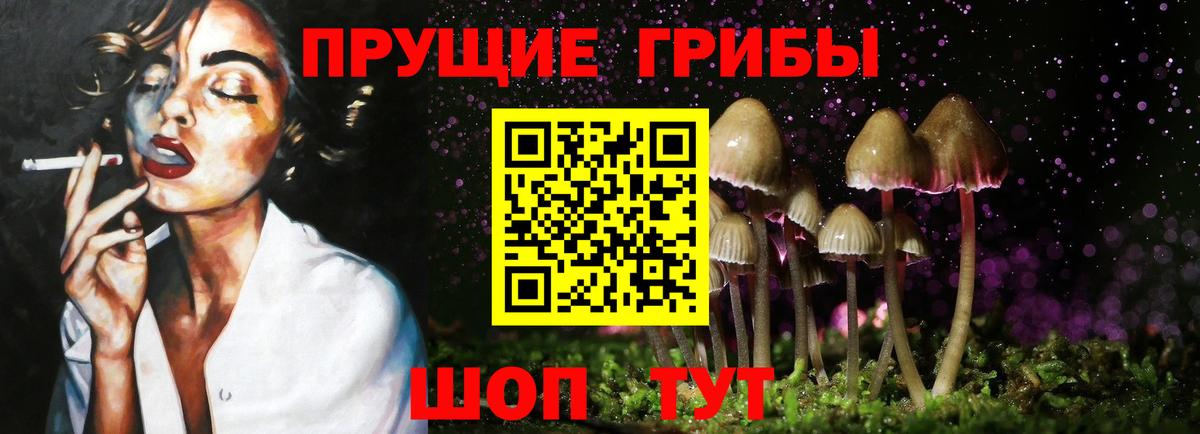 Галлюциногенные грибы ЛСД  Вход с VPN  Галлюциногенные грибы Magic Shrooms  Мыски 